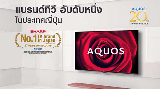 Homepage middle 1