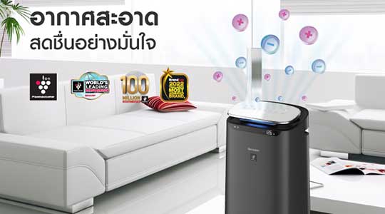 Homepage middle 2